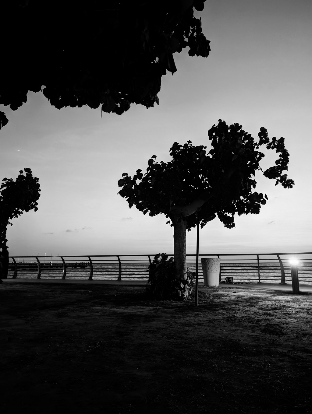 Single Still: Evening on the Corniche, Red Sea,&nbsp;2024