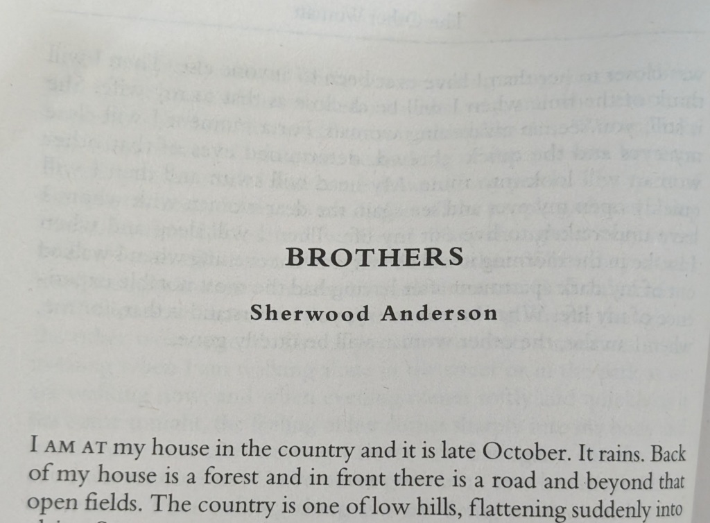 Commentaries on American Short Stories 5: Brothers by Sherwood Anderson (1921)